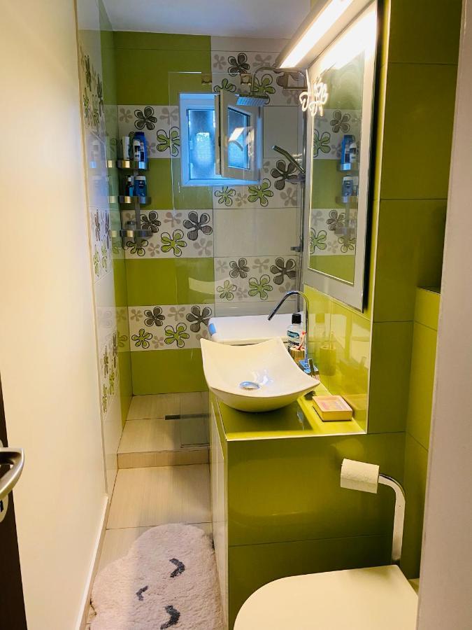 City Center Apartment ทิมิชัวรา ภายนอก รูปภาพ