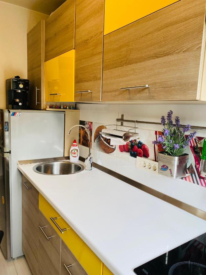 City Center Apartment ทิมิชัวรา ภายนอก รูปภาพ